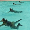 Force Recon Course 2015_005